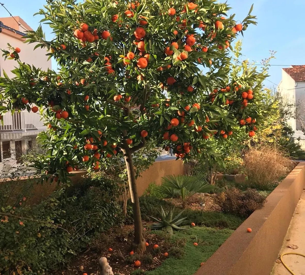Villa Bozana Trogir 0*,  Horvátország